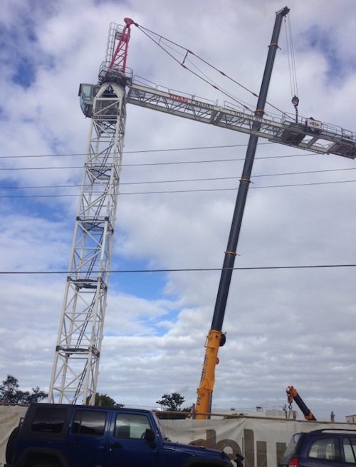 Crane over Wynnum